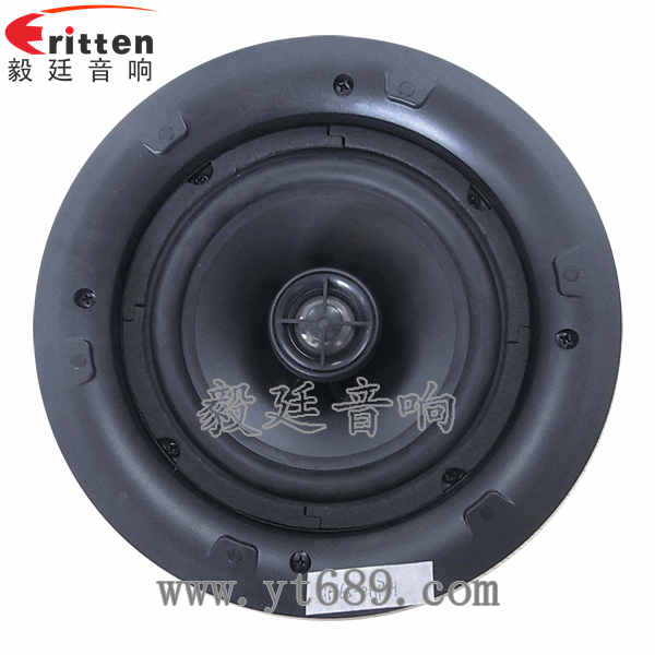 8''250w 重低音喇叭正面图