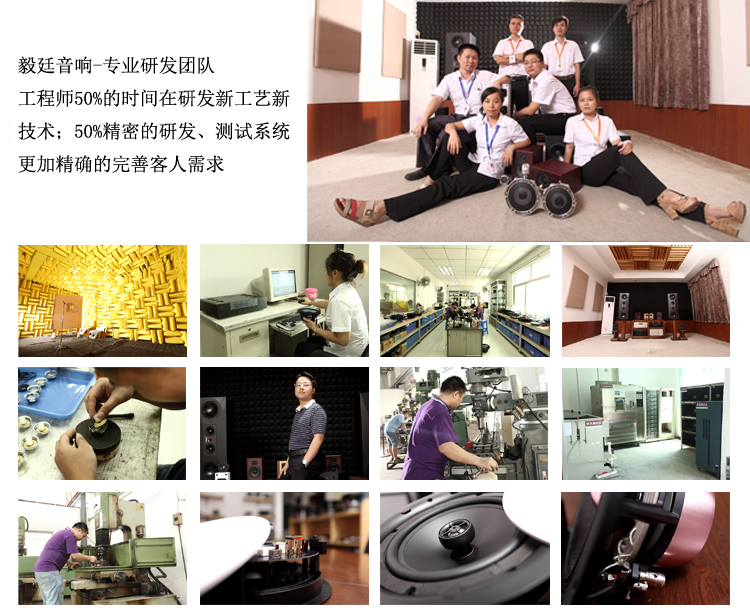 2寸全频HIFI音箱喇叭研发团队