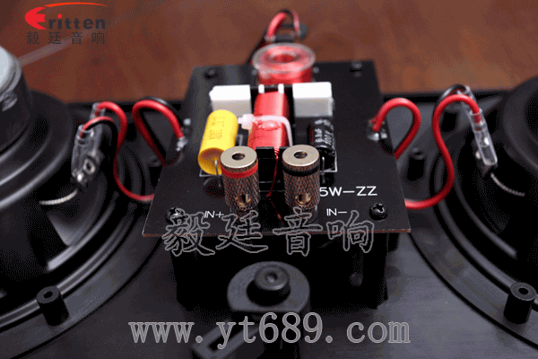 8''250w 重低音喇叭正面图