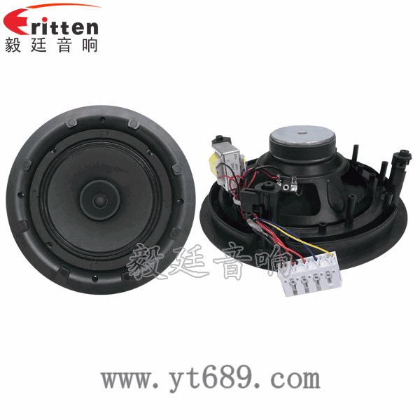 58mm20芯8瓦内磁全频喇叭正反面
