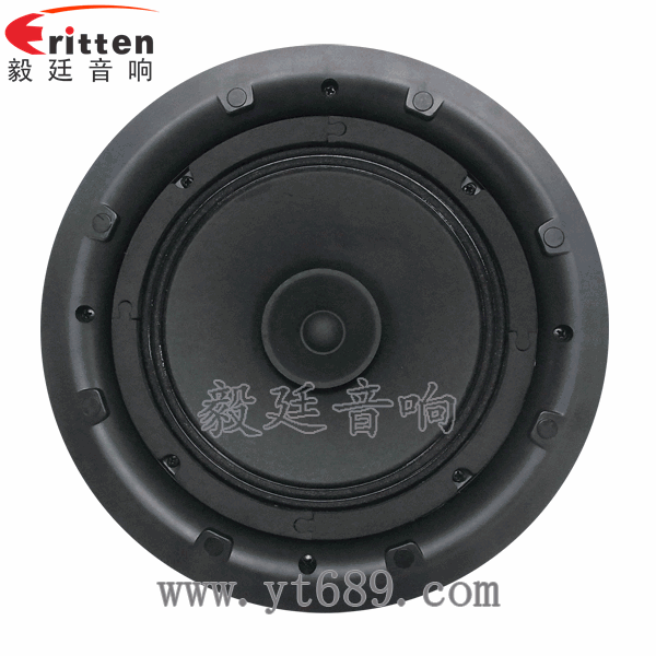 58mm20芯8瓦内磁全频喇叭正面图